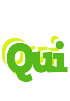 Qui picnic logo