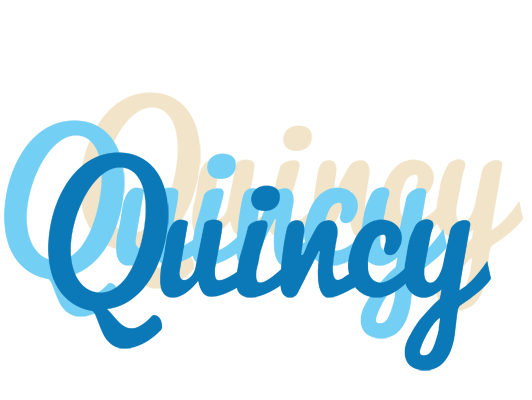 Quincy breeze logo