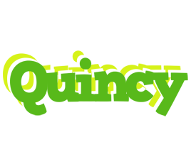 Quincy picnic logo