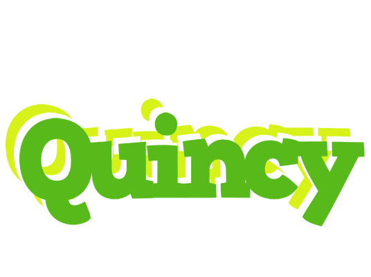 Quincy picnic logo