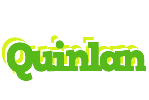 Quinlan picnic logo