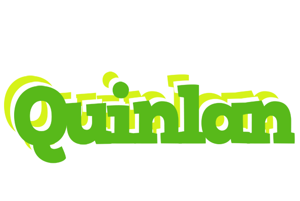 Quinlan picnic logo