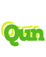 Qun picnic logo