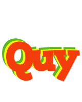 Quy bbq logo