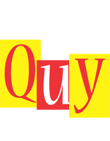 Quy errors logo