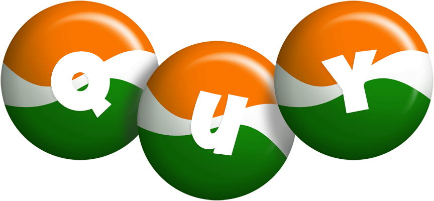 Quy india logo