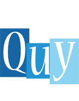 Quy winter logo