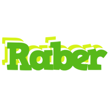 Raber picnic logo