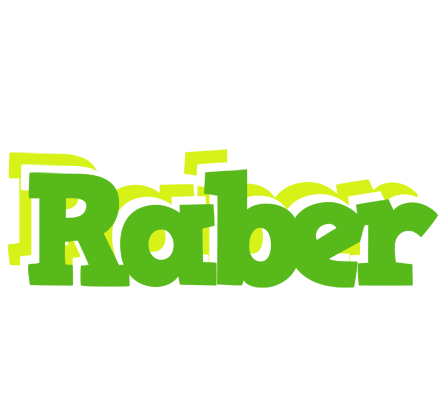 Raber picnic logo