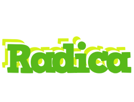 Radica picnic logo