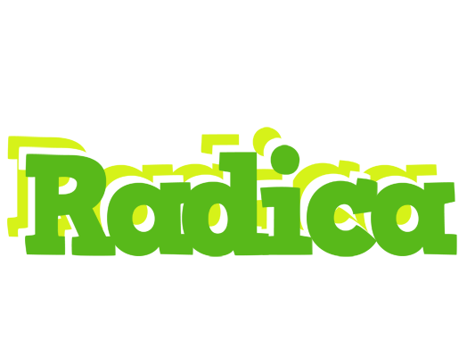 Radica picnic logo