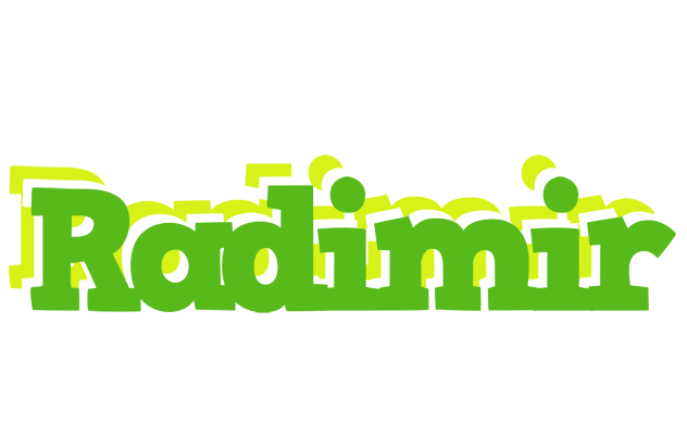 Radimir picnic logo