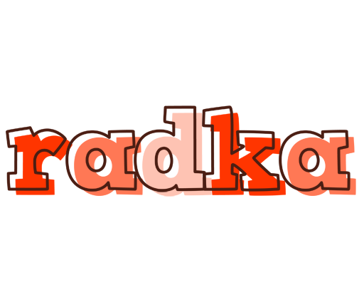 Radka paint logo