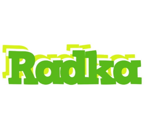 Radka picnic logo