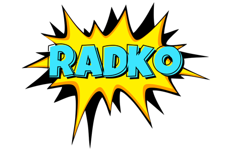 Radko indycar logo