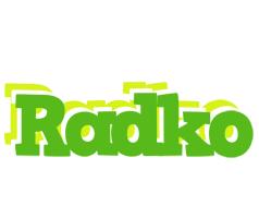 Radko picnic logo