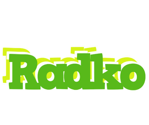 Radko picnic logo