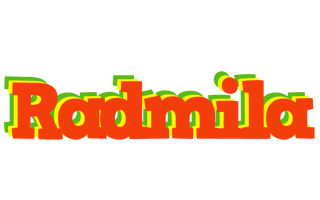 Radmila bbq logo