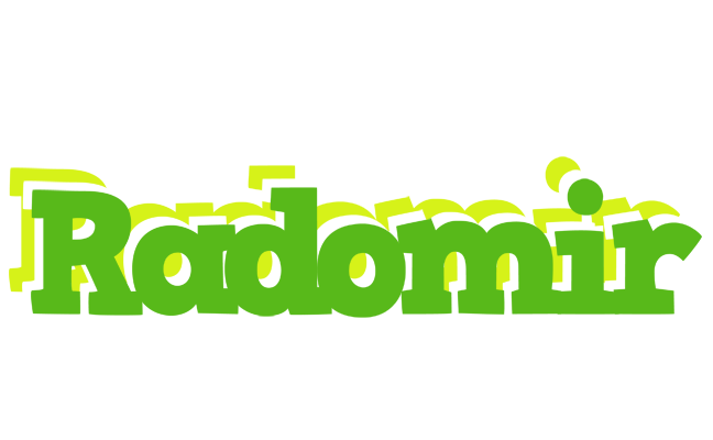 Radomir picnic logo