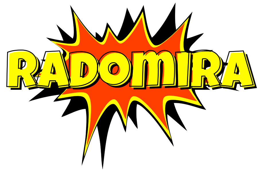 Radomira bazinga logo