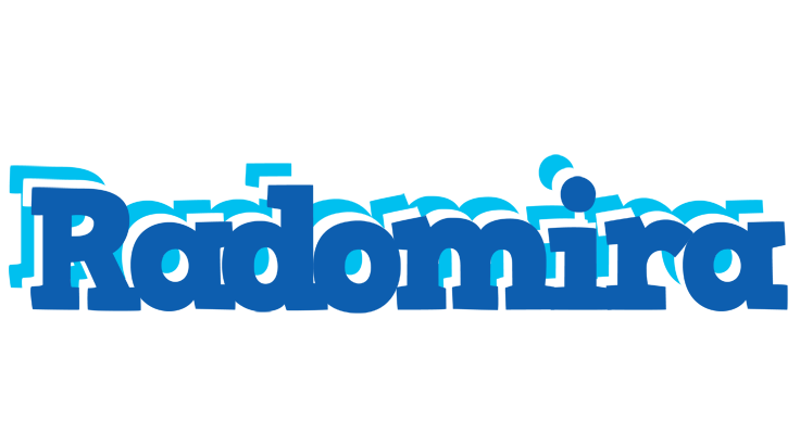 Radomira business logo