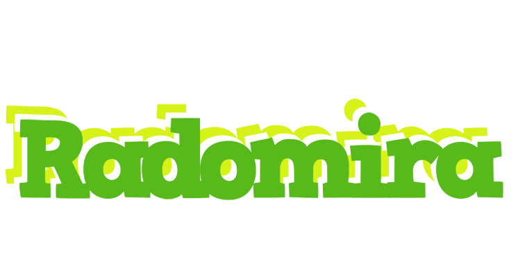 Radomira picnic logo