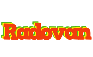 Radovan bbq logo