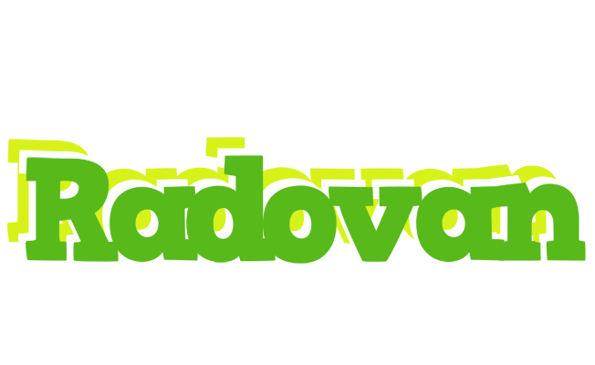 Radovan picnic logo