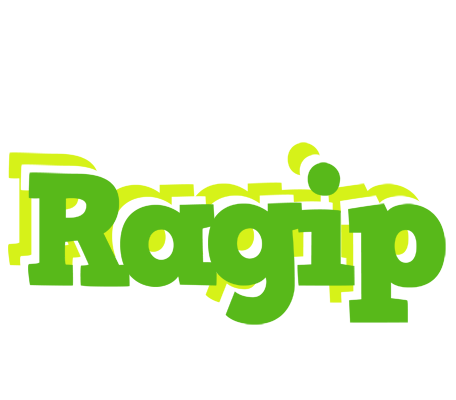 Ragip picnic logo