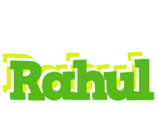 Rahul picnic logo
