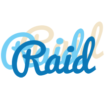 Raid breeze logo