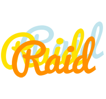 Raid energy logo