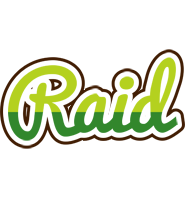 Raid golfing logo