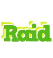 Raid picnic logo