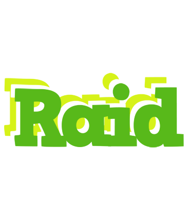 Raid picnic logo
