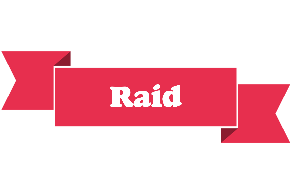 Raid sale logo