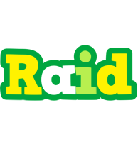 Raid soccer logo