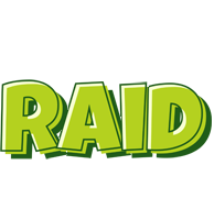 Raid summer logo