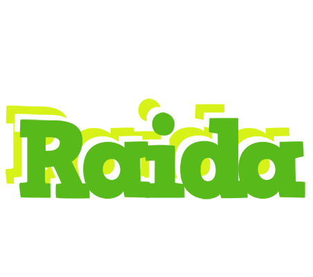 Raida picnic logo