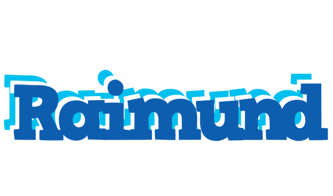 Raimund business logo