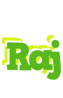 Raj picnic logo