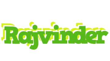 Rajvinder picnic logo