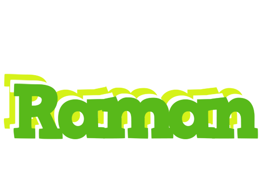 Raman picnic logo