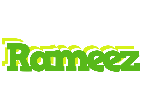Rameez picnic logo