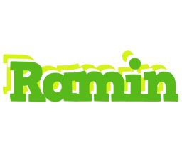 Ramin picnic logo