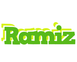 Ramiz picnic logo