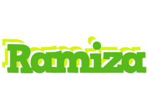 Ramiza picnic logo