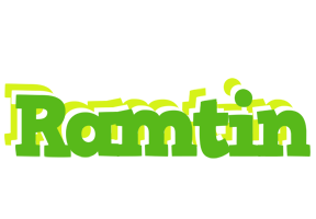 Ramtin picnic logo