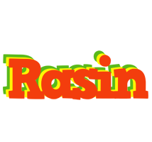 Rasin bbq logo