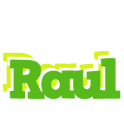 Raul picnic logo